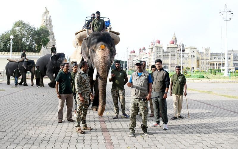 Dussehra sub committees jumbo jet list finally out snr