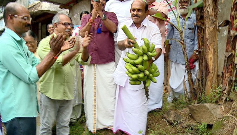 K rail protest committee harvest banana and auctioned for huge amount money given for thankamma who lost home in chengannur etj