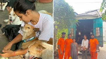 a responsible animal lover harsimran tireless commitment to serve street dogs iwh