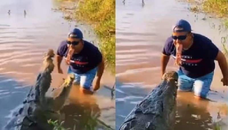 viral video man stand in front of crocodile with a meat in his mouth rlp