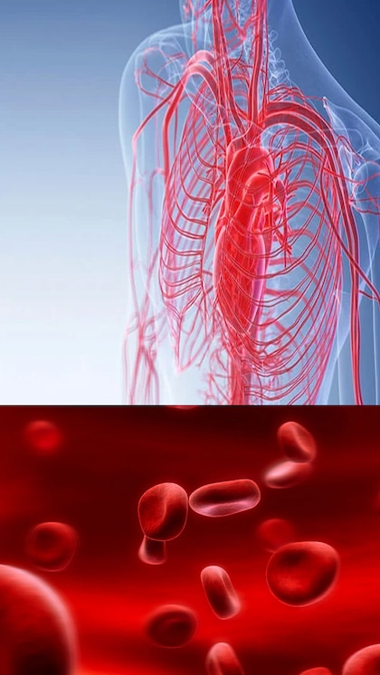 Boosting Hemoglobin