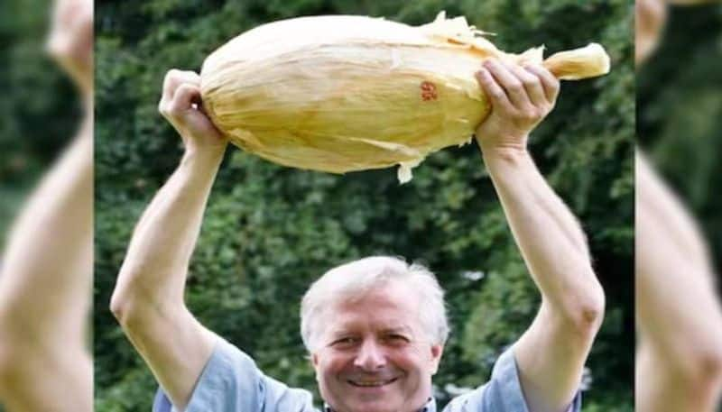 massive  8.97 kg Onion to set world record from UK rlp 