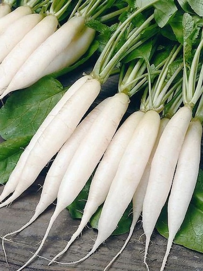Foods to Avoid with Radish