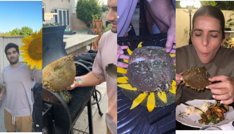 Can you eat a Sunflower like this video viral azn 