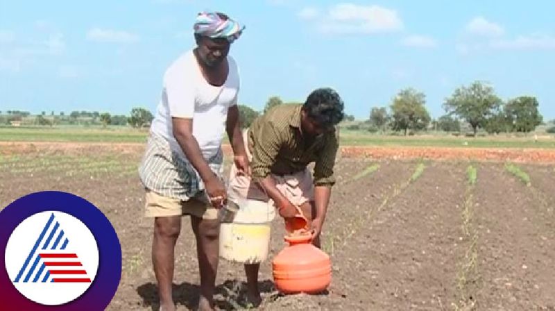 Bellary Drought Farmers struggle to save crop rav