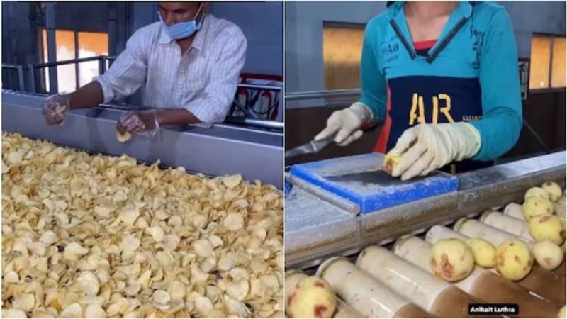 How potato chips are made? This video from a factory is going viral Rya