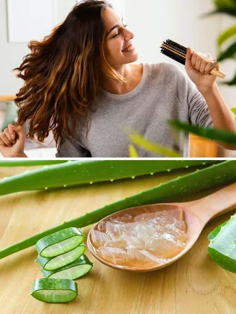 best homemade remedies for hair growth rsl