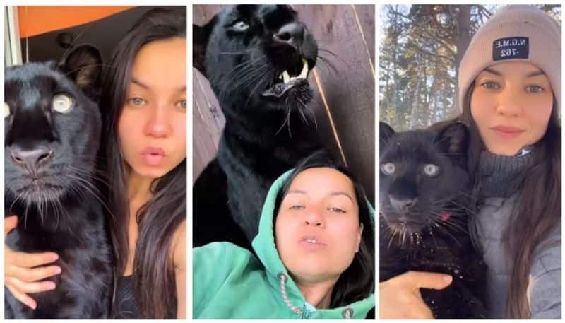 young woman raised Black Panther thinking it was a cat this is a rare friendship story bkg