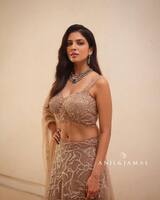 లెహంగా వోణీలో మలయాళ బ్యూటీ అందాల విందు.. నాభీ సొగసుతో కేకపెట్టిస్తోందిగా..