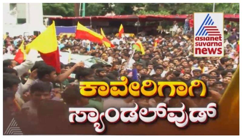 Puneeth Shivaraj Kumar in cauvery protest nbn