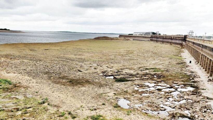 Cauvery row: CWRC orders release of 2600 cusecs to Tamil Nadu amid Karnataka drought concerns