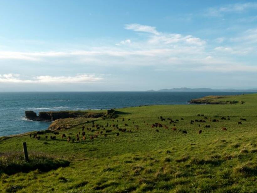 Breathe easy! Exploring Cape Grim, the place with the cleanest air on Earth