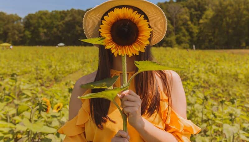 Adding these Seeds to your diet could improve hair Health azn