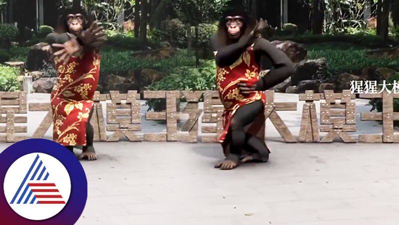 Now a monkey has danced to the Kavalaiya song of the film Jailer suc