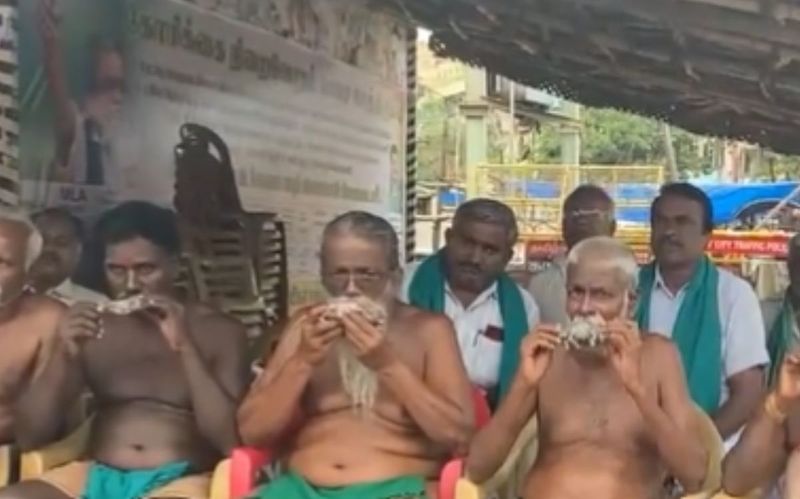 TN Farmers Hold Dead Rats In Mouth, Seek Release Of Cauvery Water From Karnataka