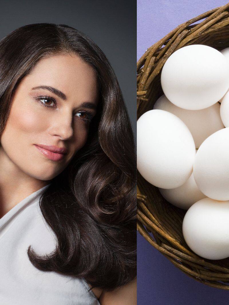 7 zinc rich foods to consume for better hair growth azn 