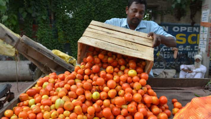 Tomato prices have halved from their peak in Koyambedu market in Chennai kak