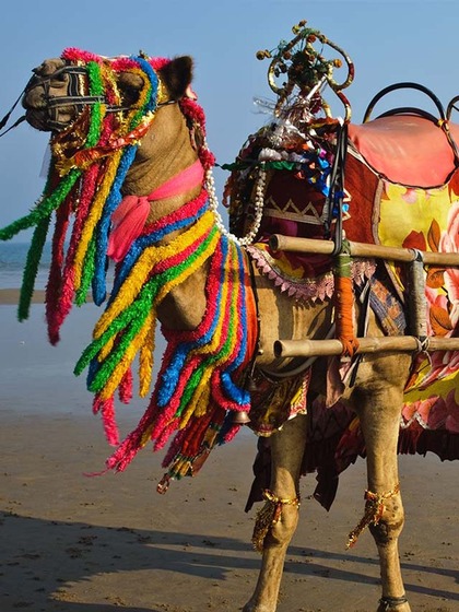 Puri Beach, Odisha