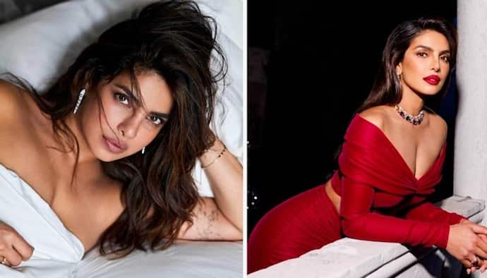 Priyanka Chopra expressed happiness on SAG-AFTRA Hollywood strike coming to an end: Here's what she said