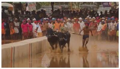 Bengaluru: Kambala on November 25,26; Aishwarya Rai, Anushka Shetty likely to attend 