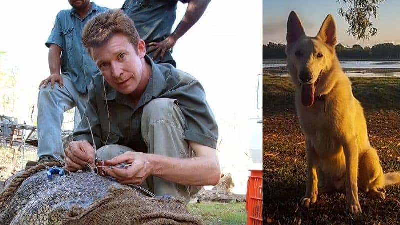 British Zoologist Adam Britton Faces 249-Year Jail For Raping, Killing Over 60 Dogs