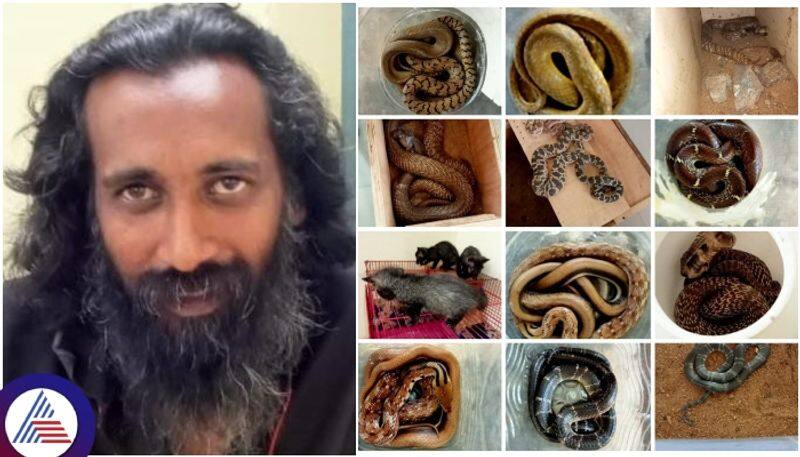 Mysore sandeep house converted 9 types of poisonous snakes farming Neighbor shocked sat