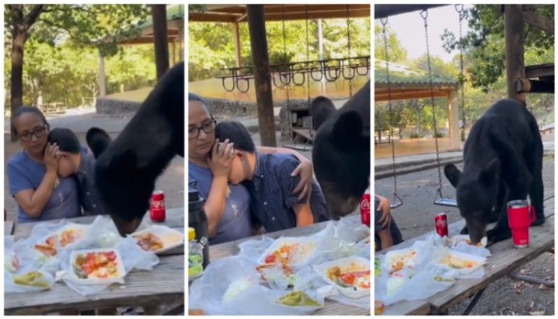 Video of mother and son cowering in fear of bear eating at birthday party table goes viral bkg