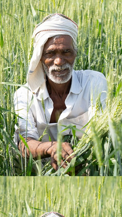 pm kisan: ఈ రైతులకు పీఎం కిసాన్ 19వ విడత డబ్బులు అందవు. ఎందుకంటే..