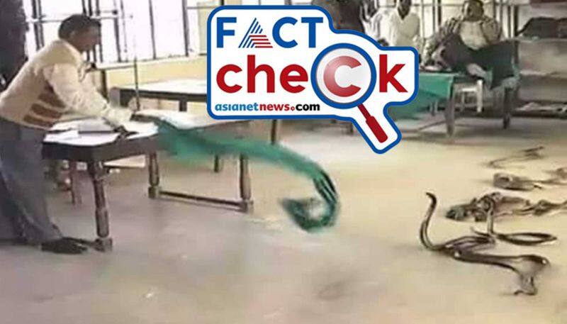 Fact Check snake charmer lets loose 40 snakes in UP govt office photo real or fake jje