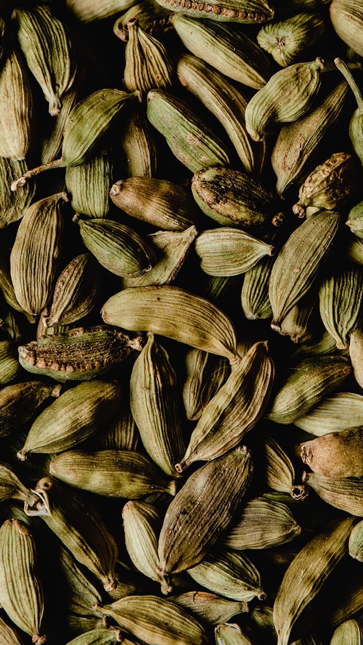 superfood-green-cardamom-may-increase-appetite-burn-belly-fat-study gnr