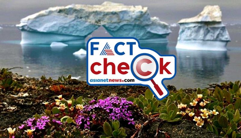 Photo shows flowers blooming in Antarctica but image is from Greenland jje