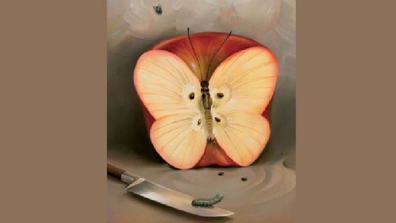 Knife Apple, Caterpillar Or Butterfly What You See First Reveals Your Deepest Fears Vin