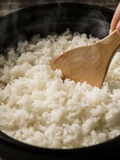 Rice: