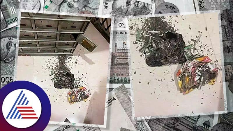 Probe on after UP woman loses Rs 18 lakh cash to termites in bank locker sgb