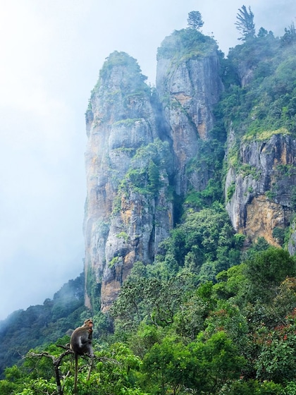 Kodaikanal - Dindigul District (465 km)