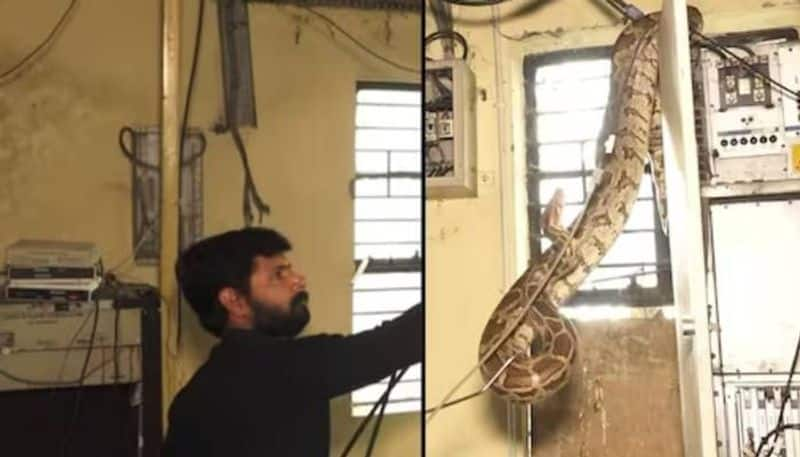 man grabs python with bare hands one bite him rlp