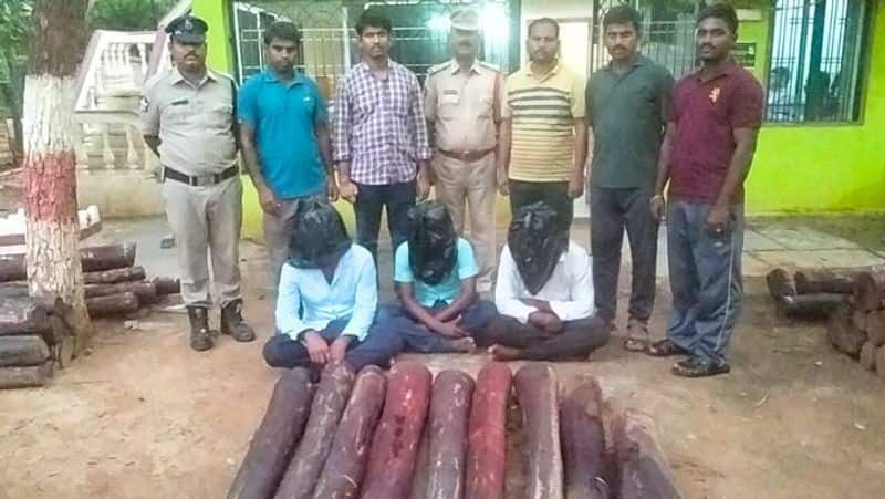 Police arrested three people for smuggling sandalwood logs-rag