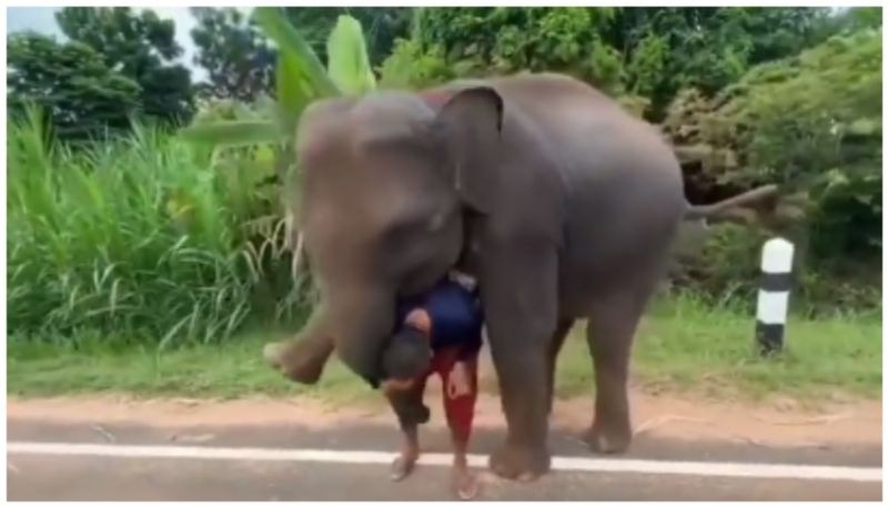 video of an elephant hugging its caretaker without letting him go has gone viral bkg