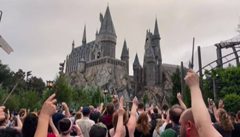 Harry Potter fans pay tribute to Michael Gambon at Hogwarts Castle in a unique way watch avv