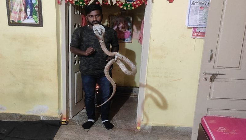 Snake Rescue by Dilip in Tumakuru grg