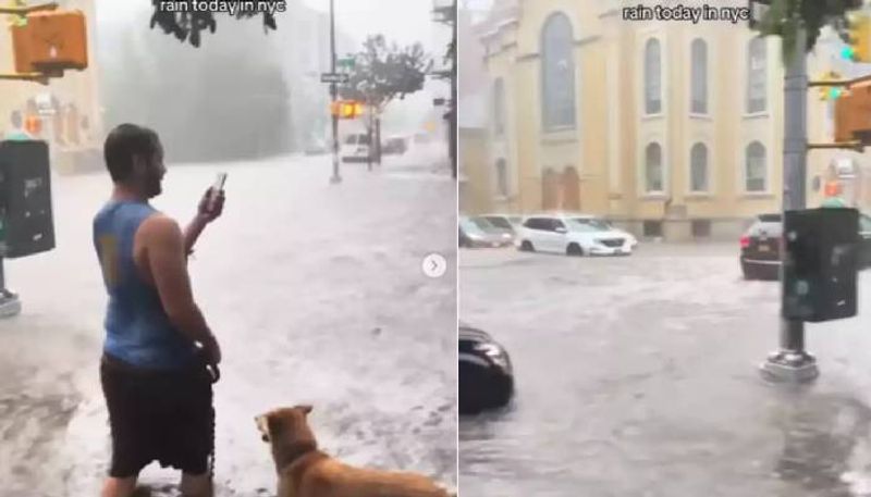 man walking with his dog in flood in New York City rlp