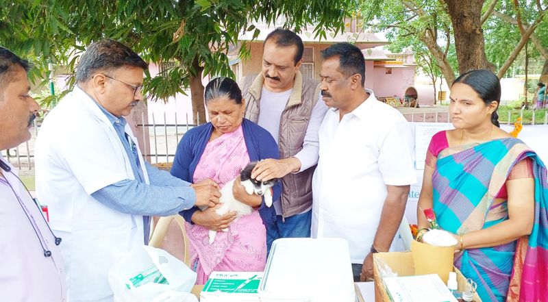 Mysore : Free rabies vaccination campaign for domestic animals snr