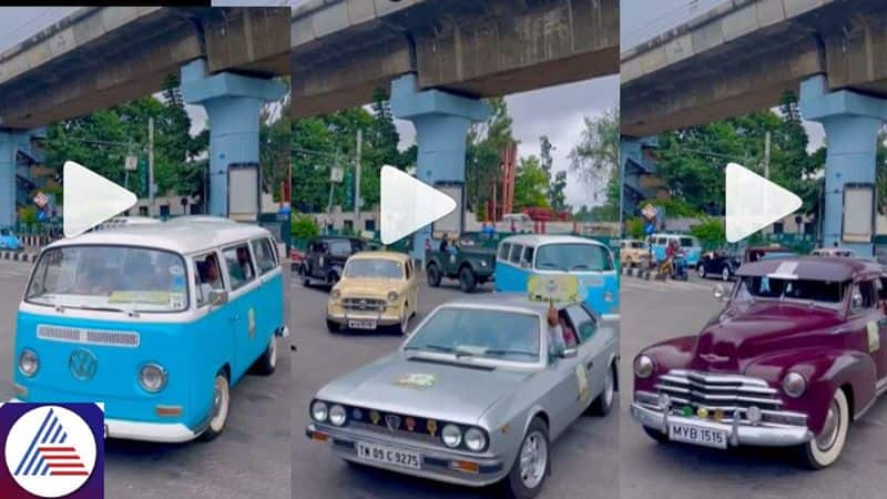 Bengaluru's vintage car rally drives home message of wildlife conservation - WATCH