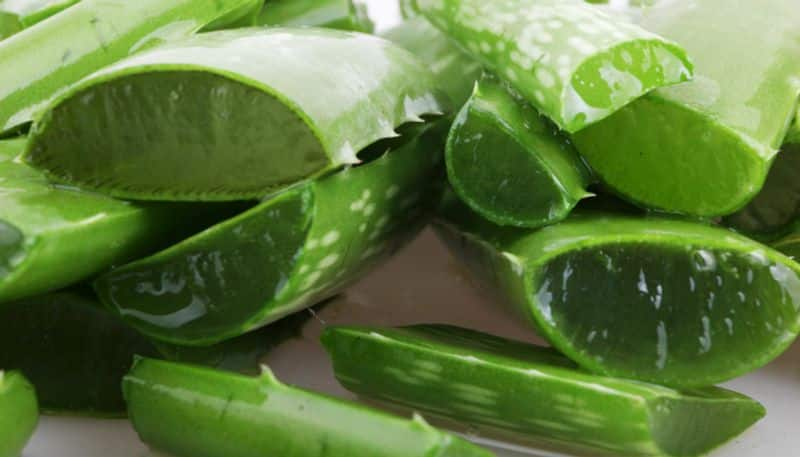 How to use aloe vera to stop hair fall azn 