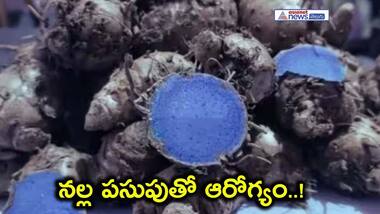 పసుపు నల్లగా ఉంటుందా అని ఆశ్చర్యపోకండి...దీనివల్ల కలిగే ఆరోగ్యప్రయోజనాలు తెలుసుకోండి...