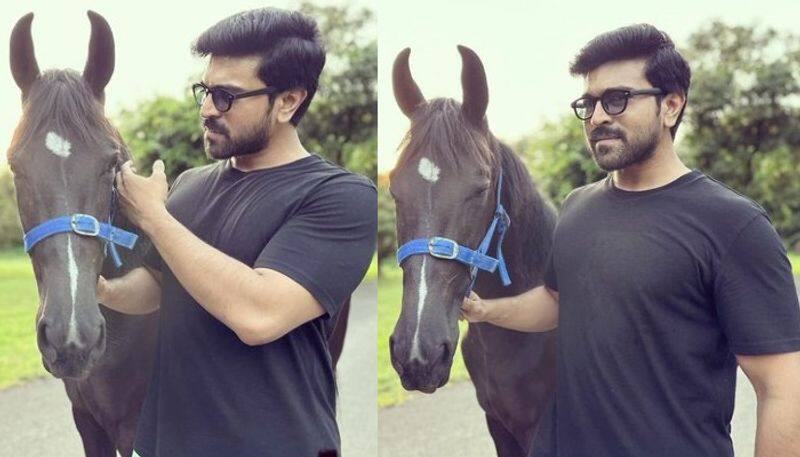 Ram Charan introduce his new Horse NSK 