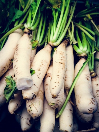 Foods to Avoid with Radish