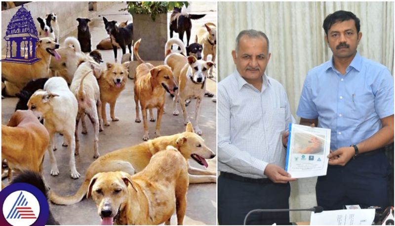 BBMP survey reveals 2.79 lakh stray dogs roaming Bengaluru streets vkp