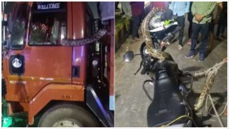 Python enters moving truck and motorcycle in Greater Noida prn