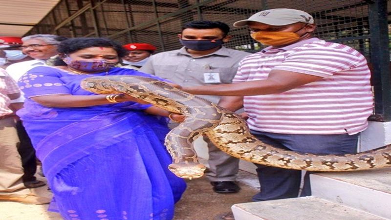 Telangana governor tamilisai soundararajan pose with snake on world animal day smp